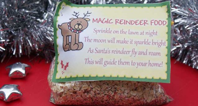 Magic Reindeer food